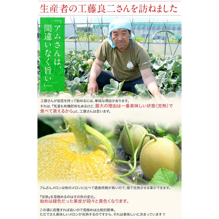 メロン『アムさん』 青森県産 つがりあんメロン 秀品 1玉 約1.2kg ※常温　産地直送 ギフト 贈答 お中元 送料無料｜tsukijiichiba｜06