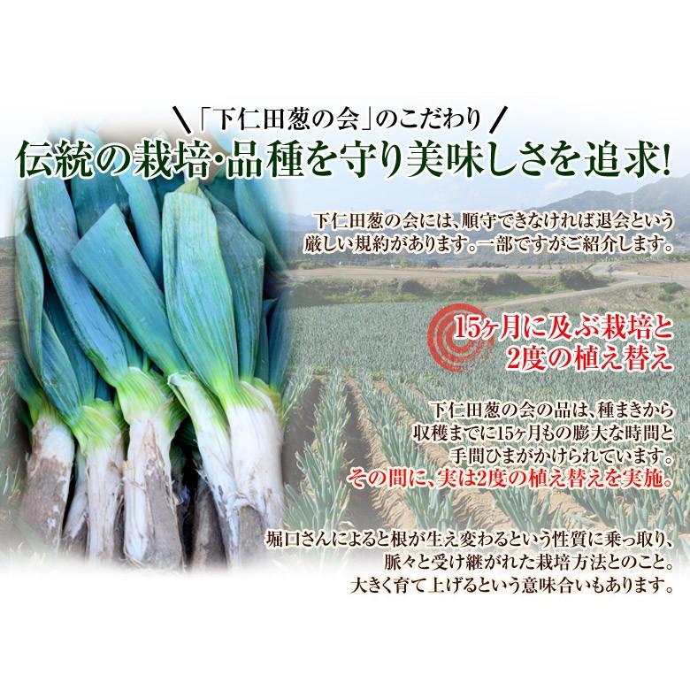 下仁田葱の会 『堀口さんグループの下仁田葱』群馬県下仁田町産 S〜Mサイズ 約2.5kg(16本以上)産地箱入 ※常温 送料無料 :203i04270:豊洲からの直送便 ヤフー店 - 通販 - Yahoo!ショッピング 下仁田葱の会 『堀口さんグループの下仁田葱』群馬県下仁田町産 S〜Mサイズ 約2.5kg(16本以上)産地箱入 ※常温 送料無料 :203i04270:豊洲からの直送便 ヤフー店 - 通販 - Yahoo!ショッピング