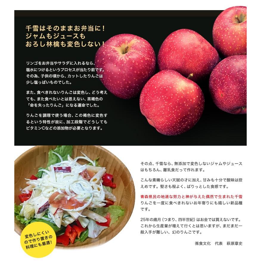 送料無料 青森産 葉とらず千雪りんご 正規品 約3kg 8 12玉 Frt 3i 豊洲市場ドットコムヤフー店 通販 Yahoo ショッピング