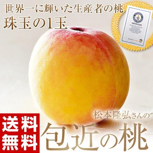 ≪送料無料≫大阪府岸和田市産 ギネス認定・松本隆弘さんの 糖度20度