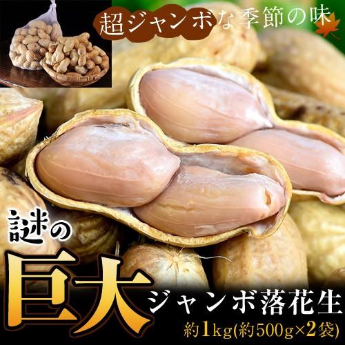 高梨さんの『謎のジャンボ落花生』千葉県成田産 約1kg (500g×2袋) ※冷蔵 送料無料｜tsukijiichiba