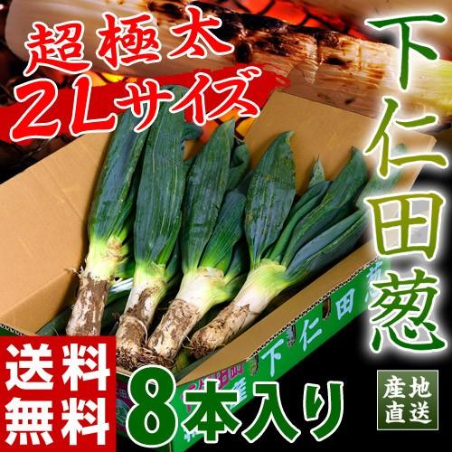1794円 多様な 下仁田葱の会 堀口さんグループの下仁田葱 群馬県下仁田町産 2lサイズ 8本 送料無料