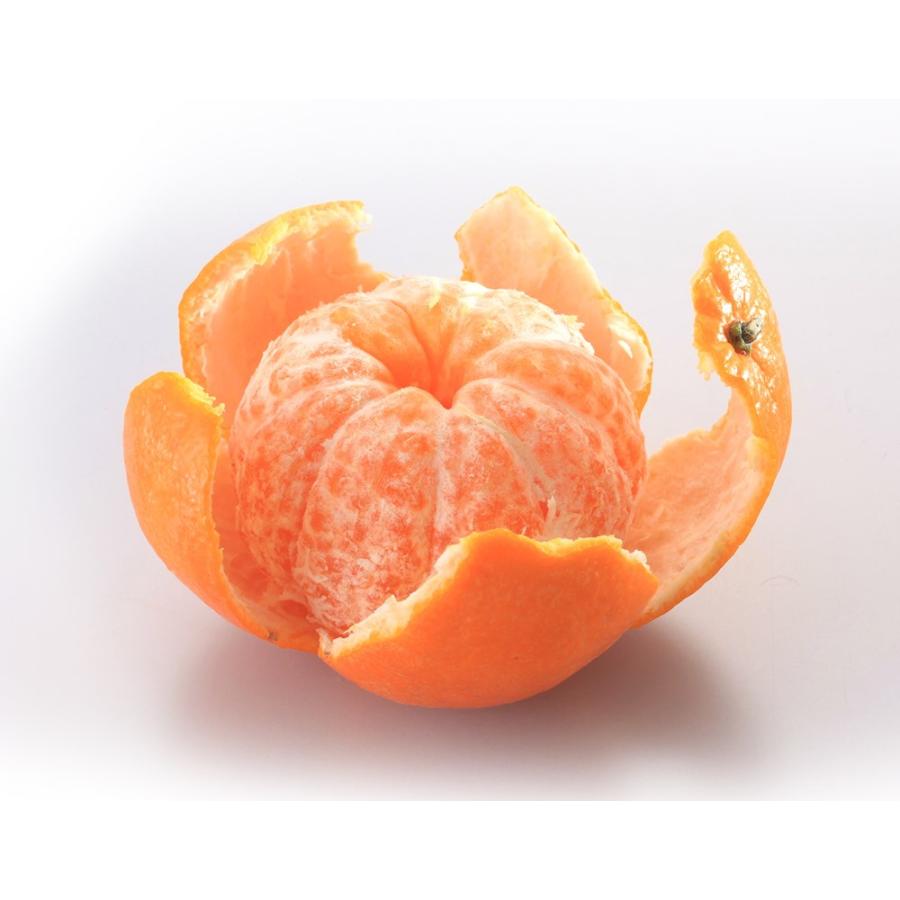 オア』 イスラエル産オレンジ 約2kg 簡易包装 (15〜25玉前後入り  