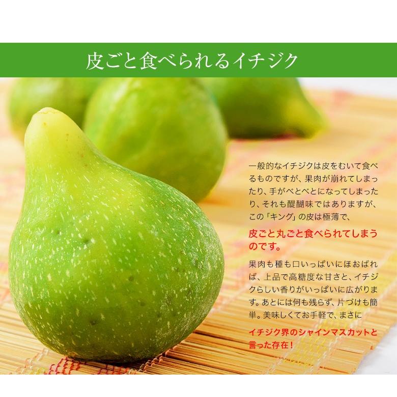 即納最大半額 富田秀俊さんの青イチジク キング 約300g 3 6玉 2パック 佐賀県産 冷蔵 送料無料 Aynaelda Com