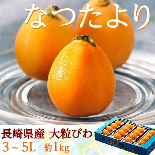 大粒 びわ なつたより 長崎県産 秀品 3〜5L 約1kg（12〜16玉）産地箱