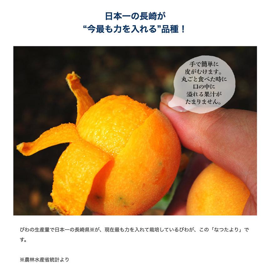 大粒 びわ なつたより 長崎県産 秀品 3〜5L 約1kg（12〜16玉）産地箱
