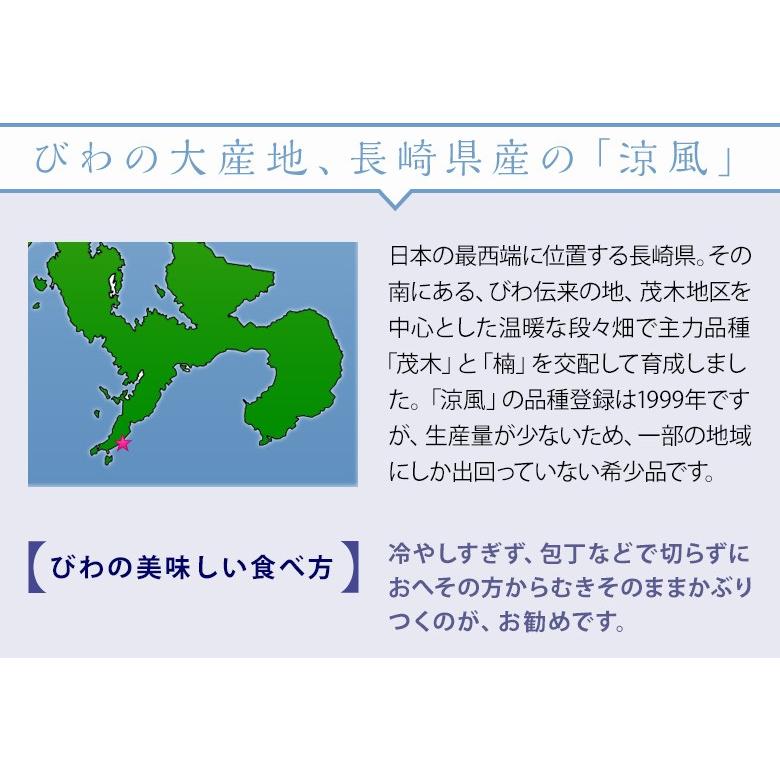 特大びわ 涼風 (すずかぜ) 長崎県産 3〜5L　4パック 約1kg 12〜16玉 ※冷蔵 【5箱まで送料1口】｜tsukijiichiba｜04