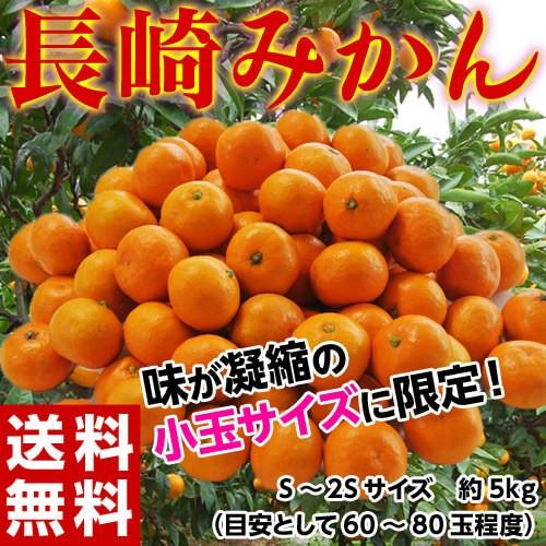 みかん 送料無料 長崎みかん 小玉  S〜２Sサイズ 約5kg｜tsukijiichiba