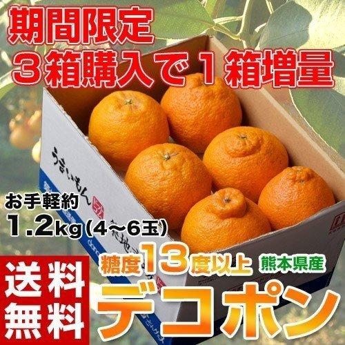 3箱同時購入で1箱増量】デコポン 熊本県産 約1.2kg 4〜6玉 送料 3箱同時購入で1箱増量】デコポン 熊本県産 約1.2kg 4〜6玉 送料