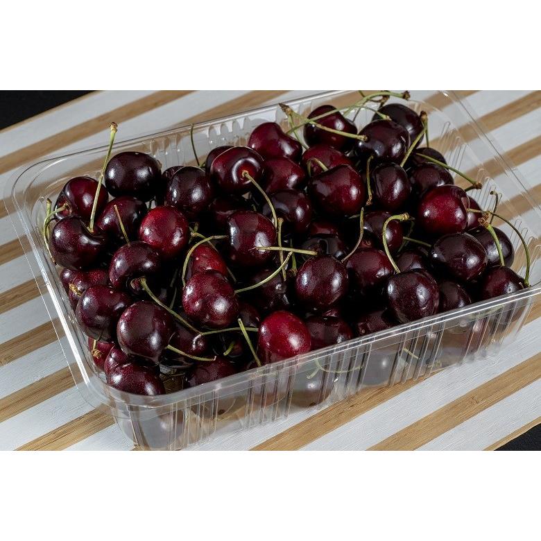 ダークチェリー 受注生産】SCHECTER(シェクター) EX-22-CTM-FRT (4A Grade) / BKCH