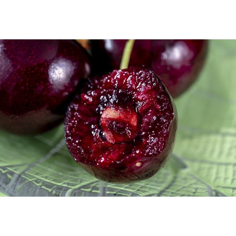 無燻蒸 特大ダークチェリー オーチャードビュー アメリカ オレゴン州産