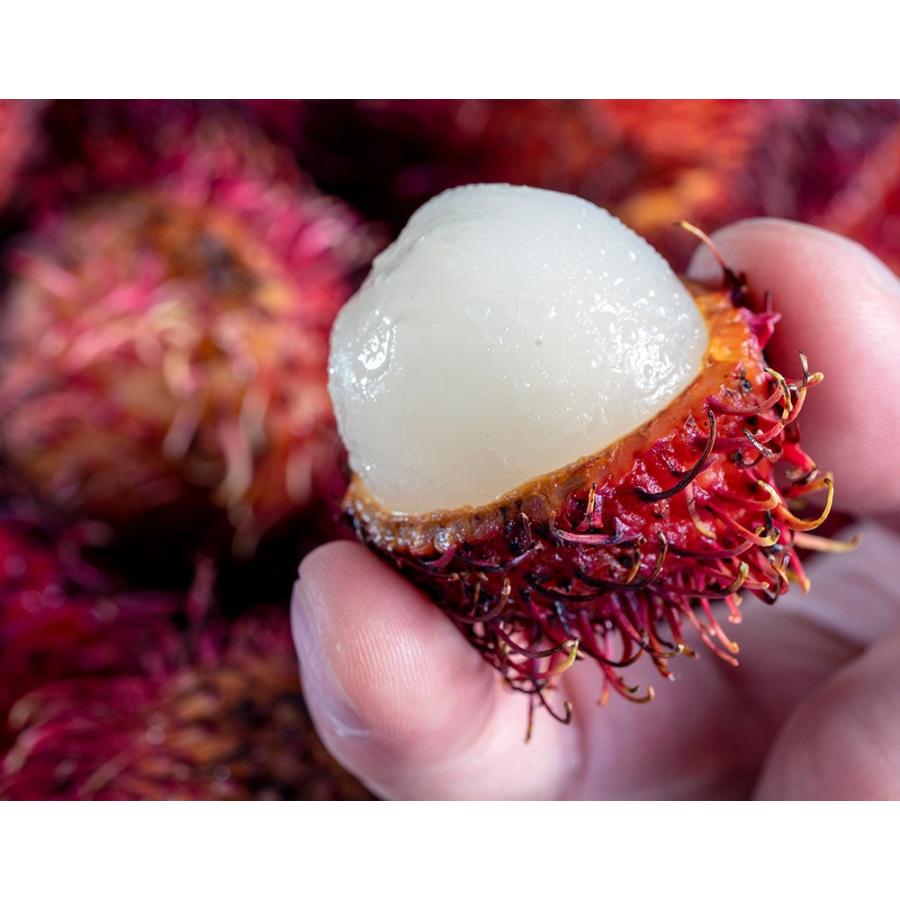 ランブータン 生 フレッシュ 約700g 個前後 メキシコ産 冷蔵 送料無料 3i115 豊洲からの直送便 ヤフー店 通販 Yahoo ショッピング