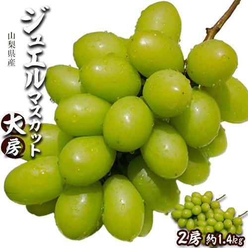 葡萄 ぶどう マスカット 山梨県産 ジュエルマスカット 2房 大房 合計約1.4kg ※冷蔵　送料無料