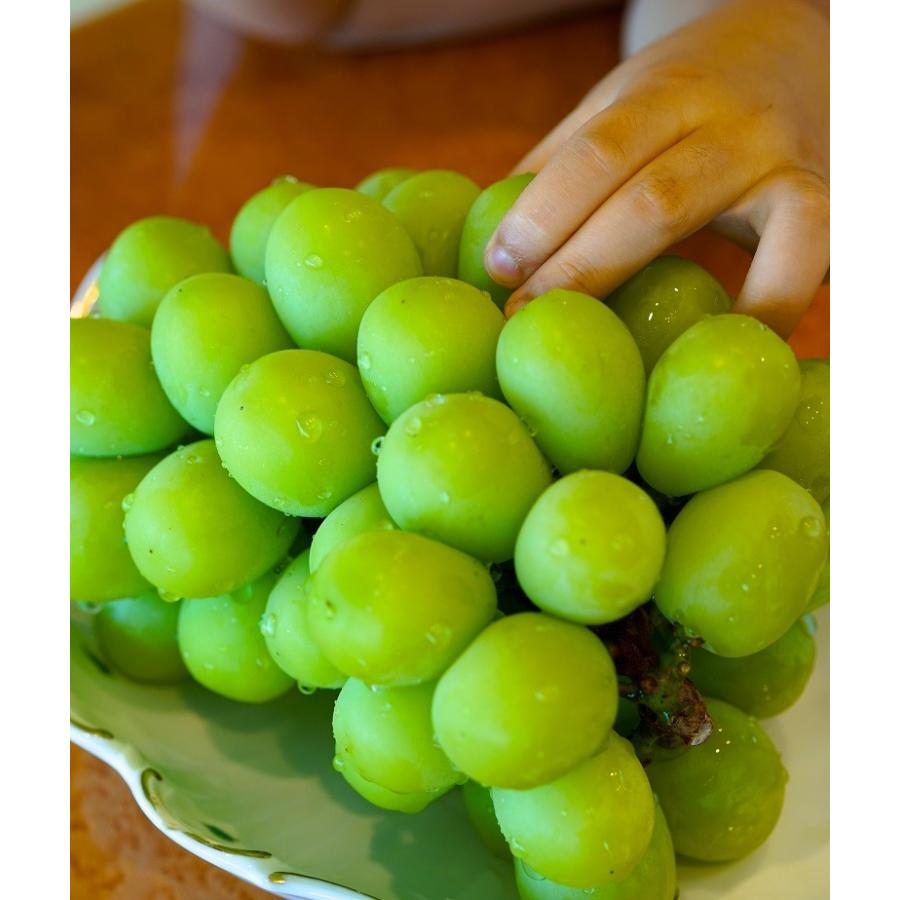 葡萄 ぶどう マスカット 山梨県産 ジュエルマスカット 2房 大房 合計約1.4kg ※冷蔵　送料無料