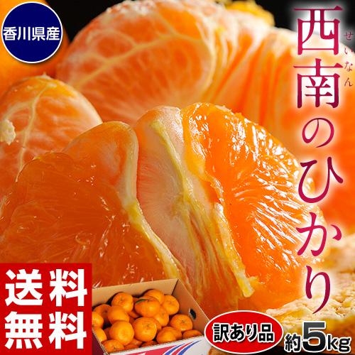 西南のひかり 約5kg 訳あり品 S〜2Lサイズ 香川県産 ※常温 JA香川県