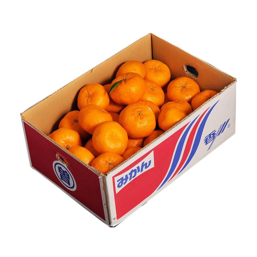 西南のひかり 約5kg 訳あり品 S〜2Lサイズ 香川県産 ※常温 JA香川県