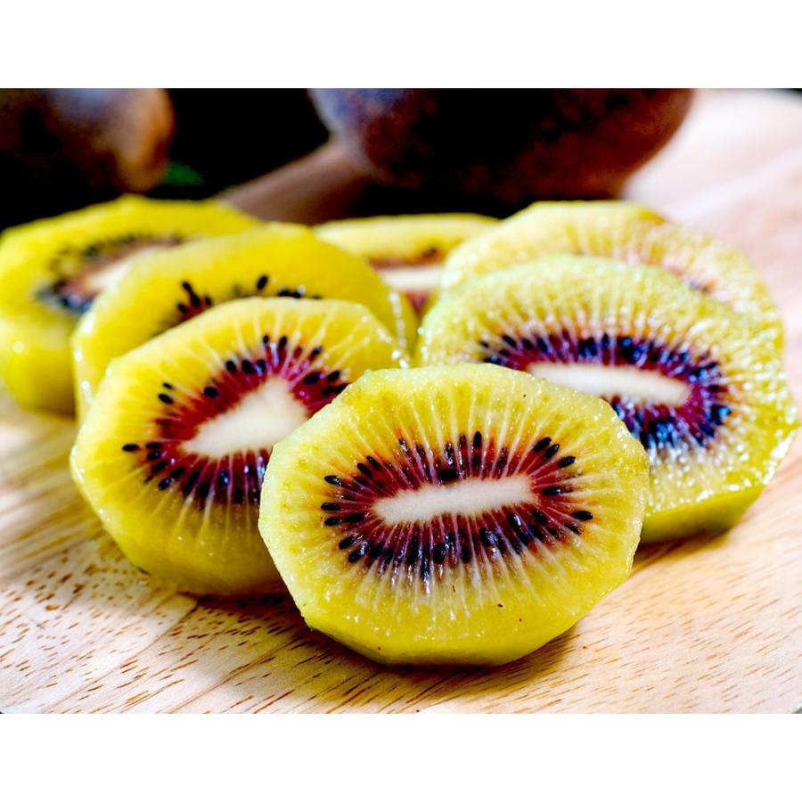 キウイ キウイフルーツ 香川産 さぬきエンジェルスイート 2s 28玉 約1 6kg 簡易梱包 送料無料 3i 豊洲からの直送便 ヤフー店 通販 Yahoo ショッピング