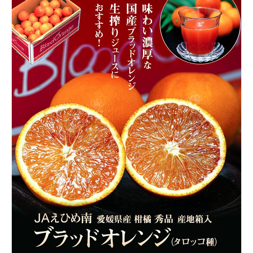6愛媛県産 ブラッドオレンジ タロッコ 10㎏