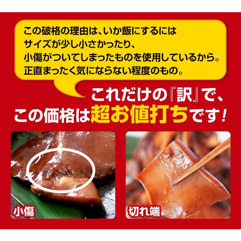 いか飯になれなかったイカ 北海道加工 訳あり 5パック （1パック：約