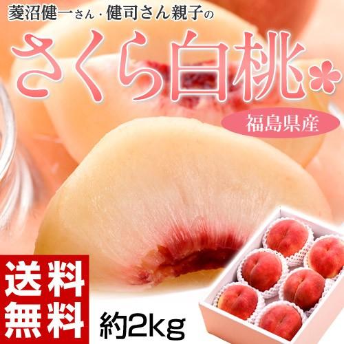 もも 桃 福島県産 菱沼農園 さくら白桃 秀品 約2kg (5〜7玉入) 送料無料 常温　ふくしまプライド。体感キャンペーン（果物/野菜）｜tsukijiichiba