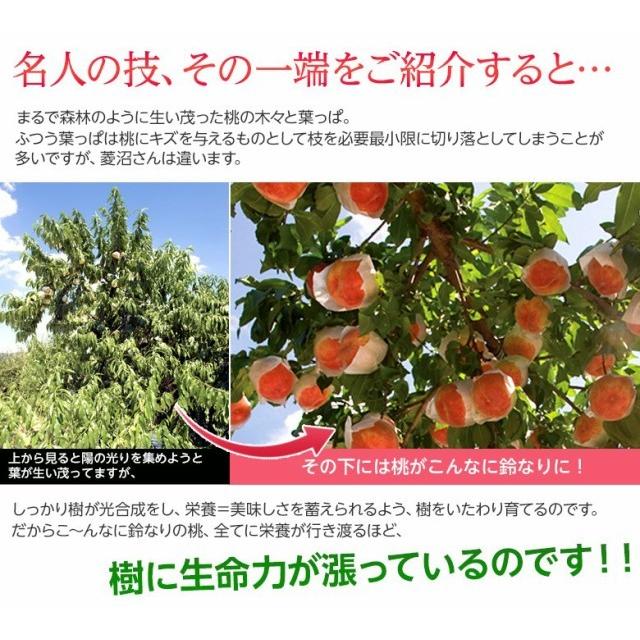 もも 桃 福島県産 菱沼農園 桃水＆光月 約2kg (6〜8玉入) 送料無料 常温 ふくしまプライド。体感キャンペーン（果物/野菜）｜tsukijiichiba｜05