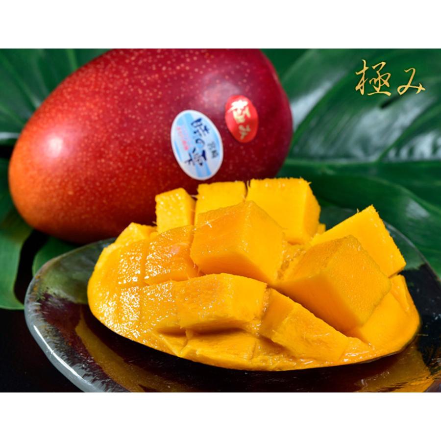 宮崎産 完熟マンゴー『時の雫《極み》』 2Lサイズ 350g〜449g×2玉 化粧