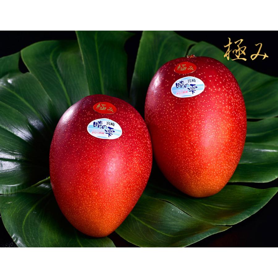 宮崎産 完熟マンゴー『時の雫《極み》』 2Lサイズ 350g〜449g×2玉 化粧