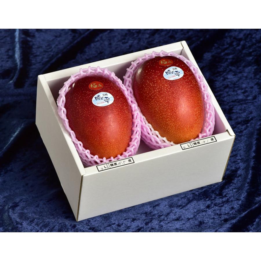 宮崎産 完熟マンゴー『時の雫《極み》』 2Lサイズ 350g〜449g×2玉 化粧