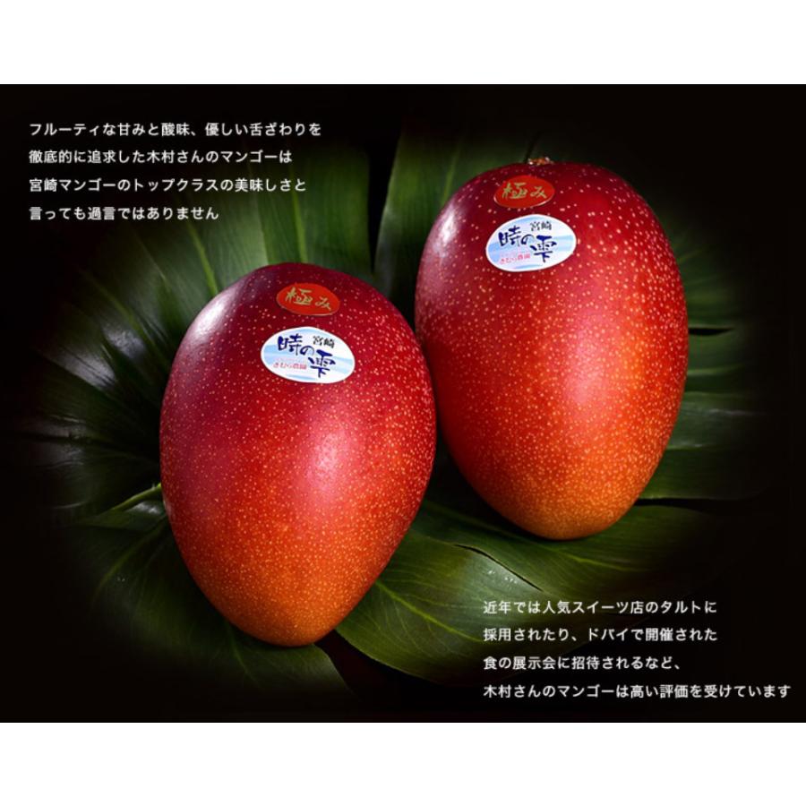 宮崎産 完熟マンゴー『時の雫《極み》』 2Lサイズ 350g〜449g×2玉 化粧