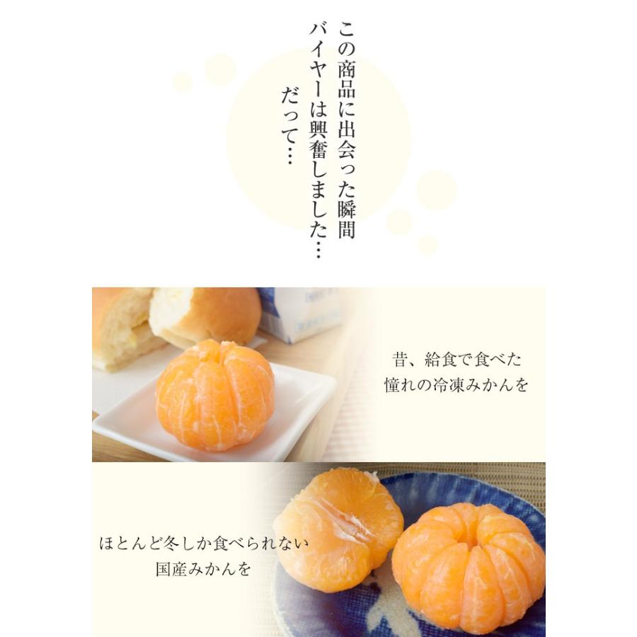 国産温州みかん使用!! 訳あり『冷凍みかん』大ボリューム1kg ※冷凍