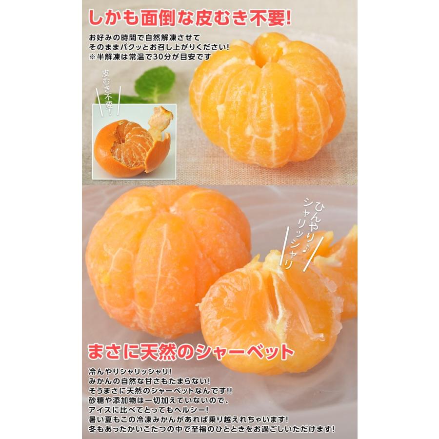 国産温州みかん使用!! 訳あり『冷凍みかん』大ボリューム1kg ※冷凍