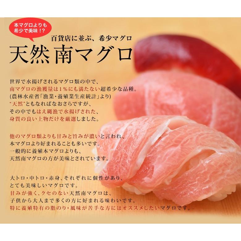 現品 刺身 ミナミマグロ まぐろ ブロック 天然インドマグロ 鮪 約1kg前後 魚介類 水産加工品