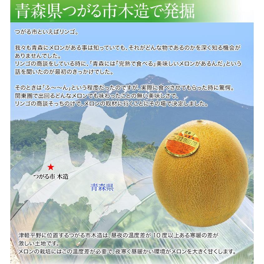 青森県産 つがりあんメロン 大玉 アムさん 秀品 1玉 約1 5kg 送料無料 常温 産地直送 3z0 豊洲からの直送便 ヤフー店 通販 Yahoo ショッピング