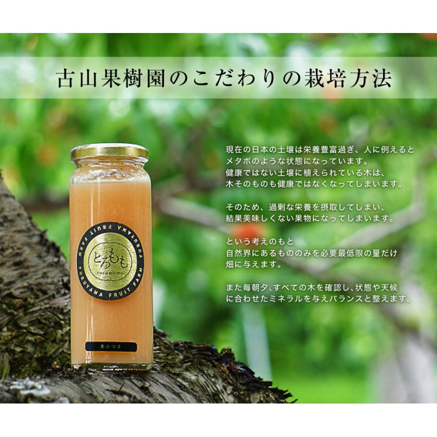 世界を見据える 古山浩司さんのとろももjuice （品種：あかつき限定