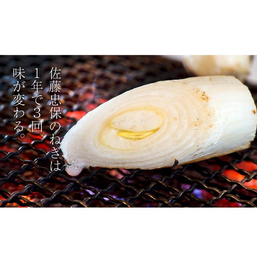 ねぎ 葱 ネギ とろねぎ 佐藤忠保さんの極太霜降りねぎ 約2kg （10〜12