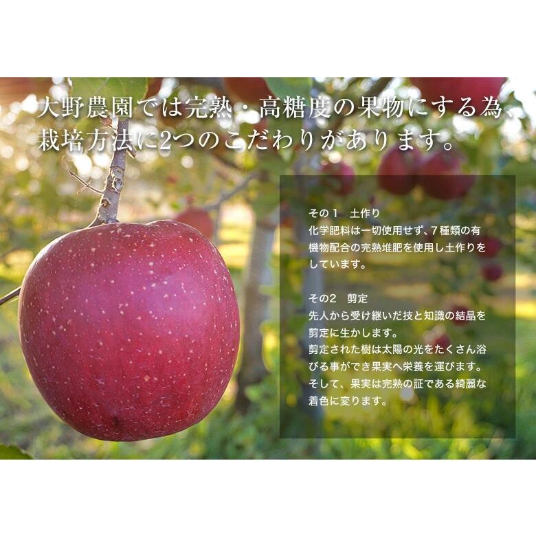 りんご　0207　2・10 福島県石川町 大野農園『ORAGENO APPLE MONAKA オラゲーノ りんご