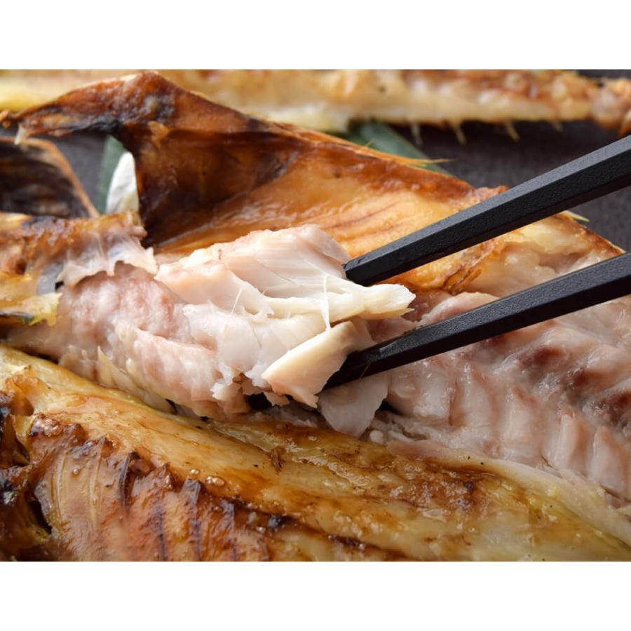 長崎県産 旬アジ（ときあじ）一夜干し 80g×3尾×3袋 ※冷凍 送料無料