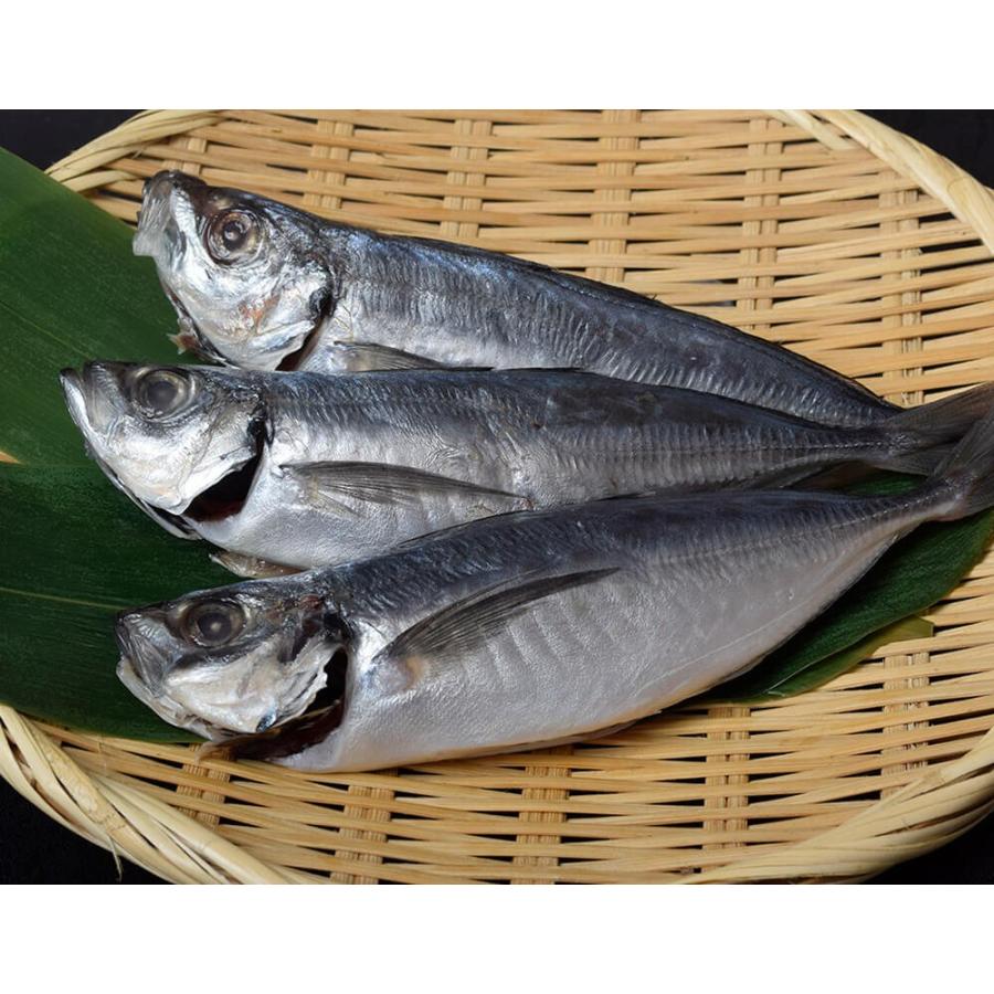 長崎県産 旬アジ（ときあじ）一夜干し 80g×3尾×3袋 ※冷凍 送料無料