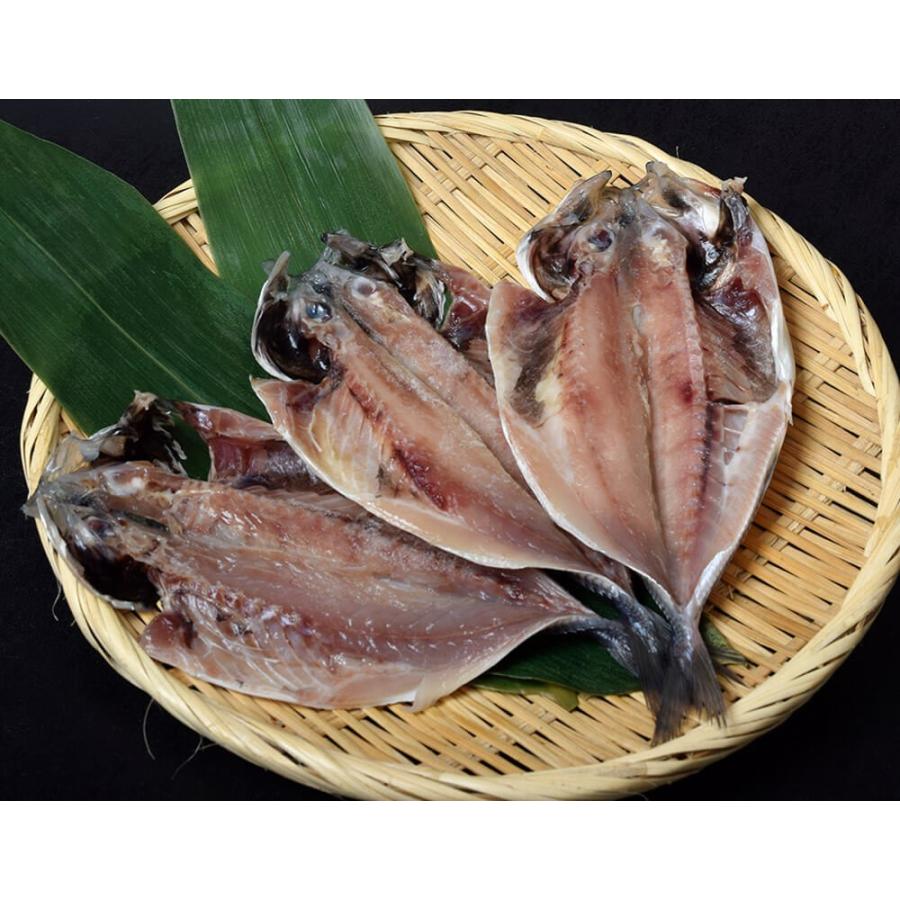長崎県産 旬アジ（ときあじ）一夜干し 80g×3尾×3袋 ※冷凍 送料無料