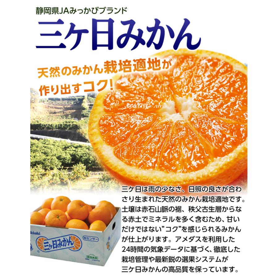 みかん ミカン 三産地の早生みかん食べ比べ 小玉 約2 5kg ３箱 合計約7 5kg 佐賀県 長崎県 和歌山県 送料無料 3z 豊洲からの直送便 ヤフー店 通販 Yahoo ショッピング