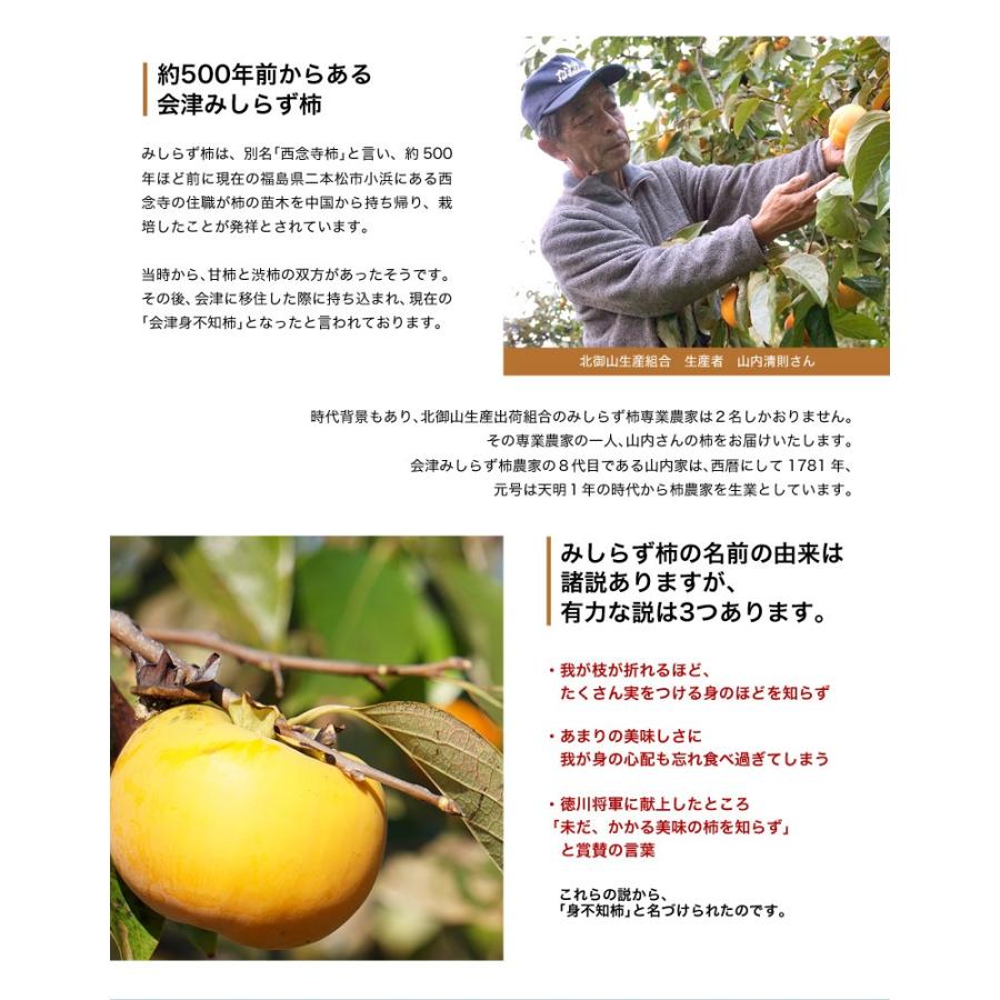 山内さんの 訳あり会津身不知柿（あいづみしらずがき） 福島県産 約4kg