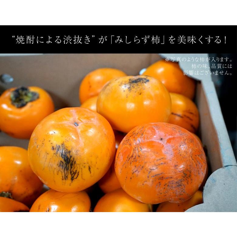 山内さんの 訳あり会津身不知柿（あいづみしらずがき） 福島県産 約4kg