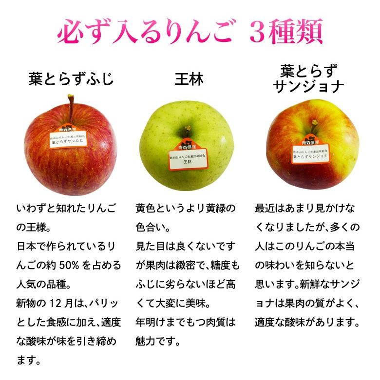 りんご 送料無料 青森県産りんご6品種食べ比べセット 6 13玉入 約2 5kg 岩木山りんご生産出荷組合 3z103 豊洲からの直送便 ヤフー店 通販 Yahoo ショッピング