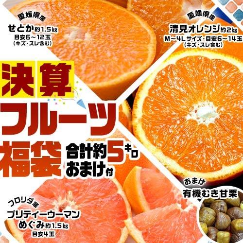 柑橘 せとか 清見 グレープフルーツ 決算フルーツ福袋 おまけ 甘栗1袋 合計約5kg 送料無料 常温 3z 豊洲からの直送便 ヤフー店 通販 Yahoo ショッピング