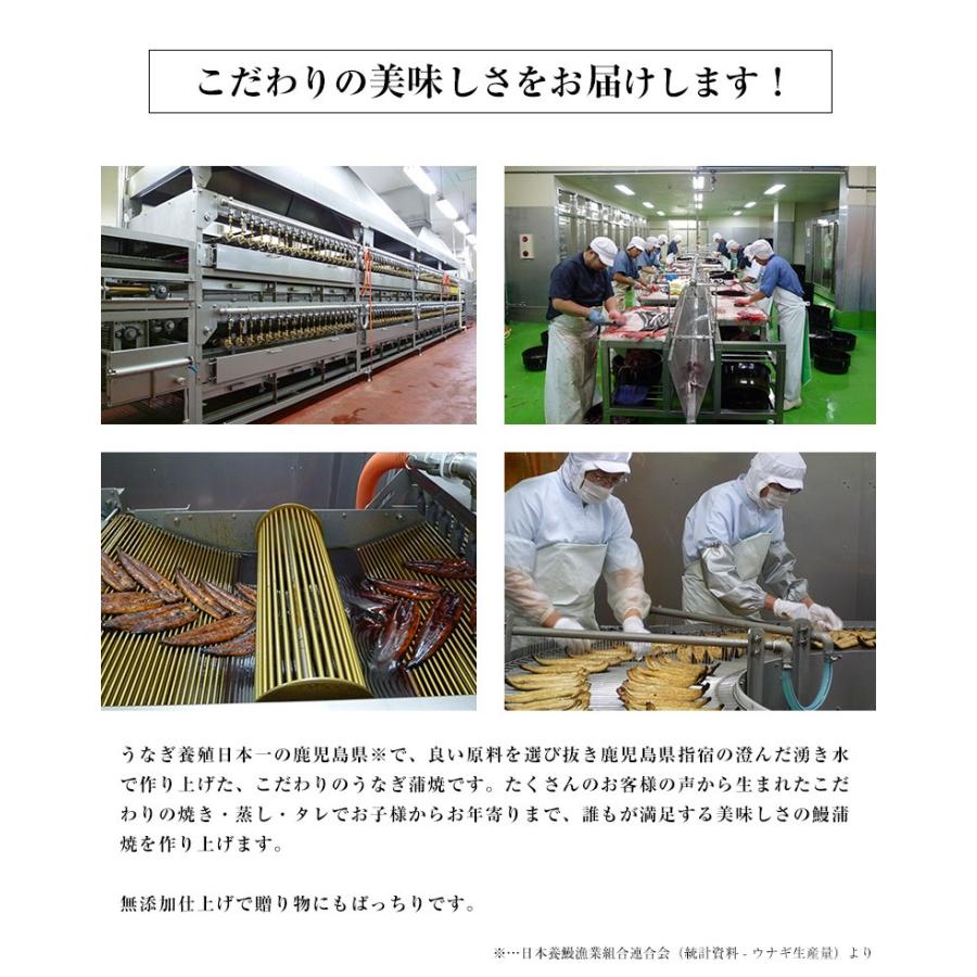 ギフト お中元 うなぎ ウナギ 鰻 鹿児島県産 うなぎ蒲焼おてがる堪能セット 長焼2尾＋きざみうなぎ70g 合計3〜4人前　冷凍 送料無料｜tsukijiichiba｜08