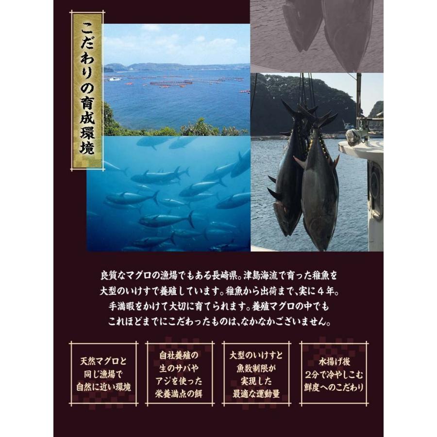 水揚げから最速でお届けする 生本マグロ 赤身 中トロ 大トロ 合計500グラム 長崎県養殖 佐賀県加工 冷蔵 送料無料 3z 豊洲からの直送便 ヤフー店 通販 Yahoo ショッピング