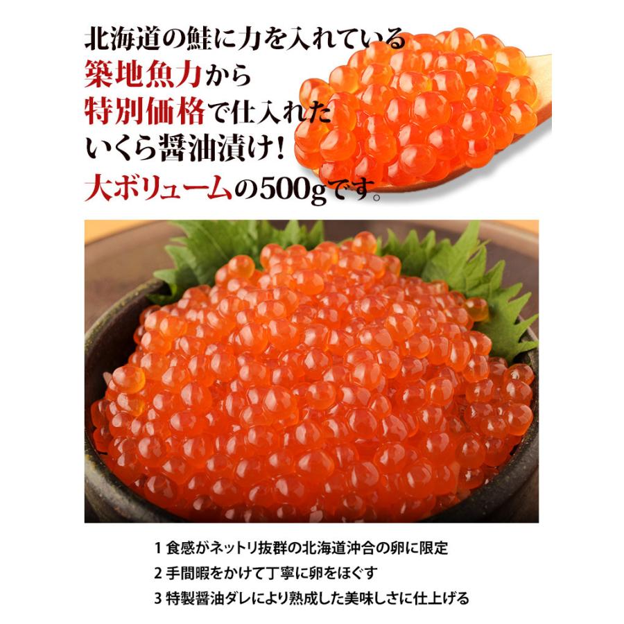 築地魚力 北海道産 天然 鮭 いくら醤油漬け 約500g 冷凍 送料無料 元気いただきますプロジェクト 3z 豊洲市場ドットコムヤフー店 通販 Yahoo ショッピング