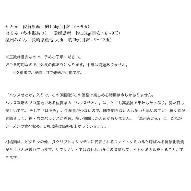 せとか入り柑橘3種（せとか約1.5kg、はるみ約1.5kg、みかん約2kg）合計約5kg ※常温 簡易梱包 ちょっと訳あり　送料無料｜tsukijiichiba｜03