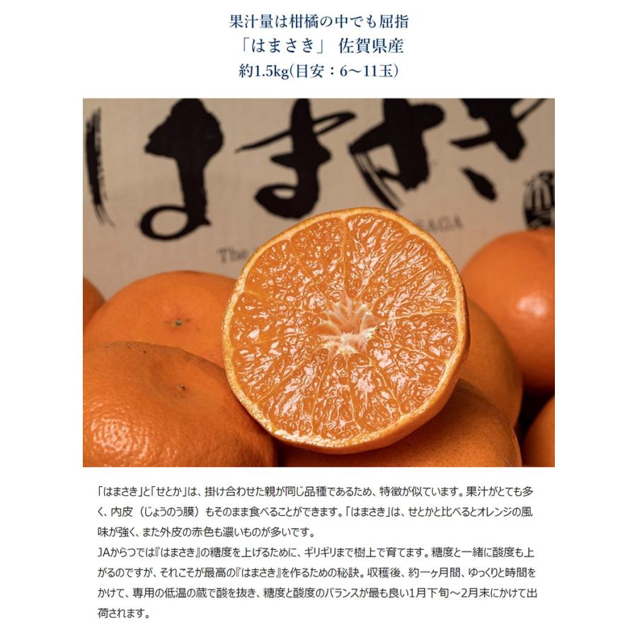 柑橘3種セット 計約5kg （はまさき約1.5kg、しらぬひ約1.5kg、みかん約2kg） ※常温 簡易梱包　送料無料｜tsukijiichiba｜04