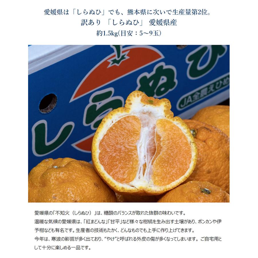 柑橘3種セット 計約5kg （はまさき約1.5kg、しらぬひ約1.5kg、みかん約2kg） ※常温 簡易梱包　送料無料｜tsukijiichiba｜05